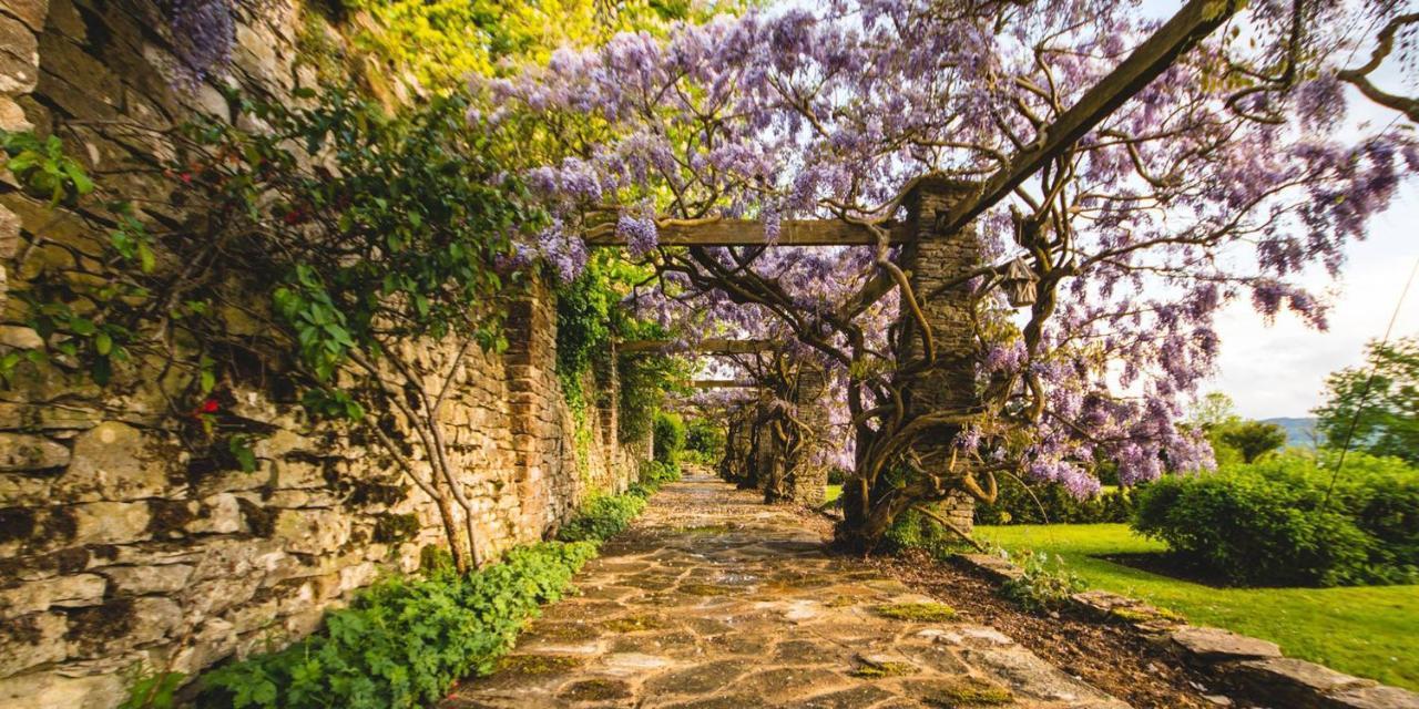 Glenfall House Cheltenham Dış mekan fotoğraf